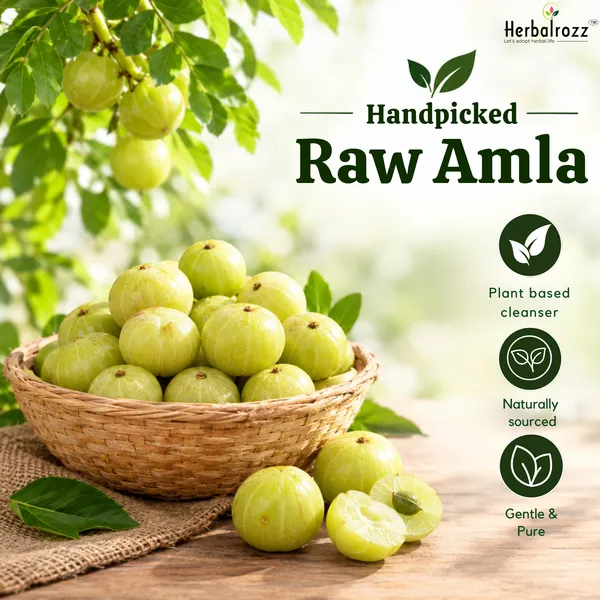 Herbalrozz_Natural_Raw_Amla_Pack_of_2_Indian_Gooseberry_for_Natural_Herbal_Hair_Care