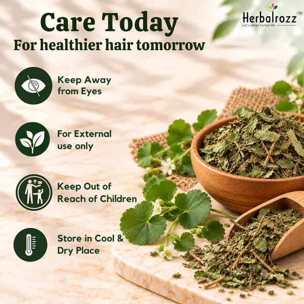 Herbalrozz_Natural_Brahmi_Powder_Pack_of_2_Ayurvedic_Herbal_Hair_Care_&_DIY_Hair_Mask