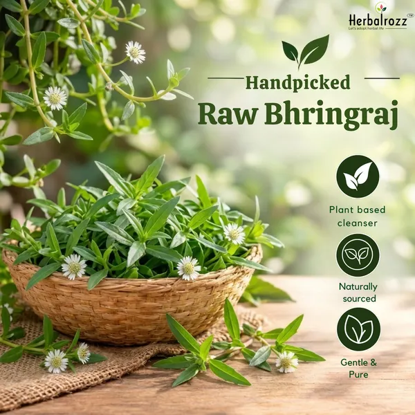 Herbalrozz_Natural_Raw_Bhringraj_–_Pack_of_2_|_Traditional_Ayurvedic_Herbal_Hair_Care