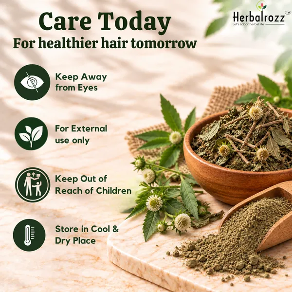 Herbalrozz_Natural_Bhringraj_Powder_Pack_of_2_Ayurvedic_Herbal_Hair_Care

