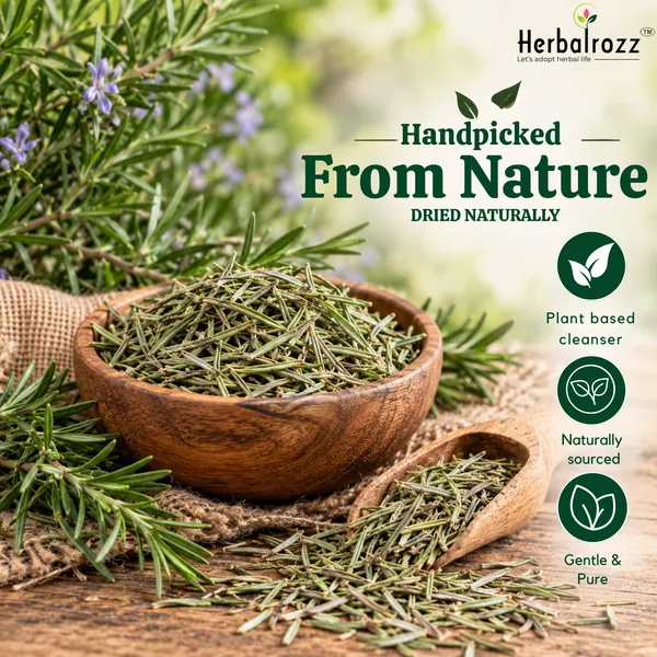 Herbalrozz_Natural_Rosemary_Leaves__Pack_of_2__Herbal_Hair_Care_&_Scalp_Care