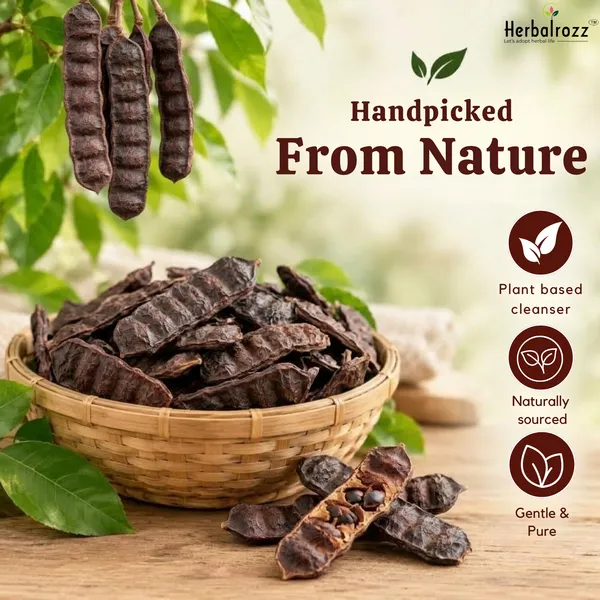 Herbalrozz_Natural_Raw_Shikakai_Pack_of_2__Traditional_Herbal_Hair_Cleanser_&_Hair_Care

