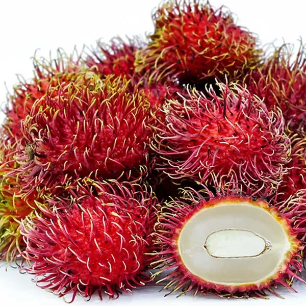 Schoolboy_Rambutan_Fruit_Grafted_Plants_Tree1.5_-_3_Feet