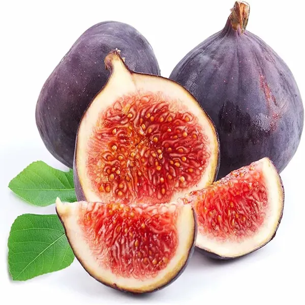 Brown_Turkey_Anjeer_Fig_Fruit_Air_Layering_Grafted_Plants_Tree1_-_2_Feet