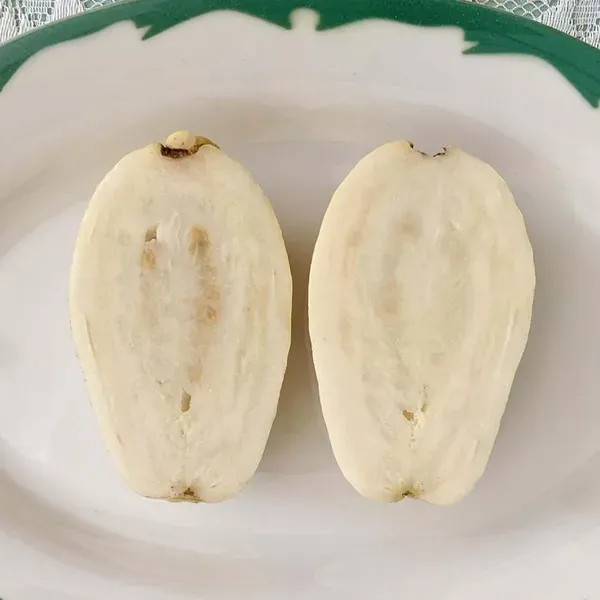 Guava_Mexican_Cream_Amrood_Variety_Fruit_Air_Layering_Grafted_Plants