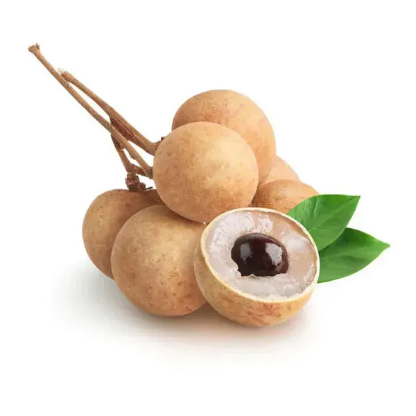 Kohala_Hawaii_Longan_Grafted_Fruit_Plants_Tree1_-_2_Feet
