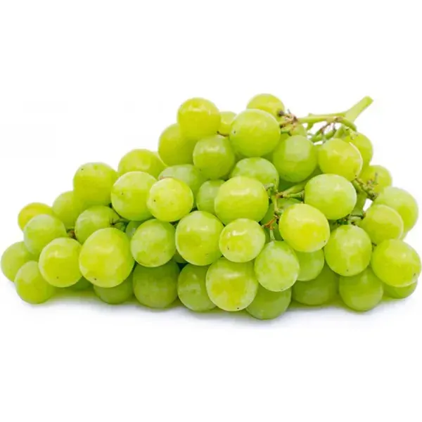 Green_Grapes_Angoor_Fruit_Air_Layering_Grafted_Plants_Tree