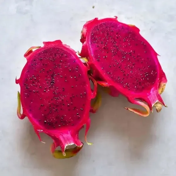 Dragon_Pink_Fruit_Cutting_Grafted_Plants_Tree1_-_2_Feet