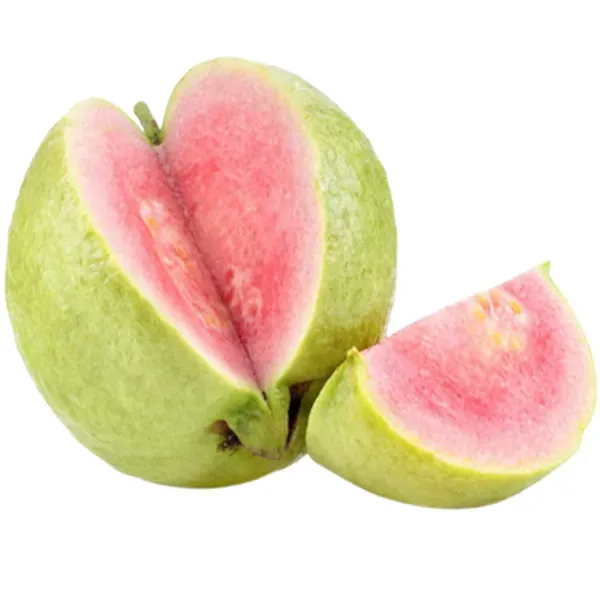 Taiwan_Pink_Guava_Amrood_Fruit_Air_Layering_Grafted_Plants_Tree_1.5_-_3_F