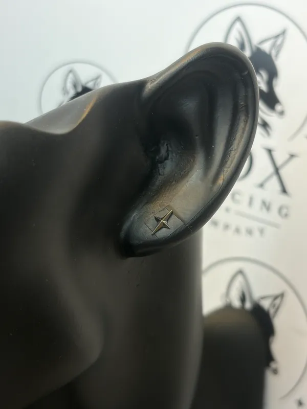 Titenium_Shining_Star_Earring
