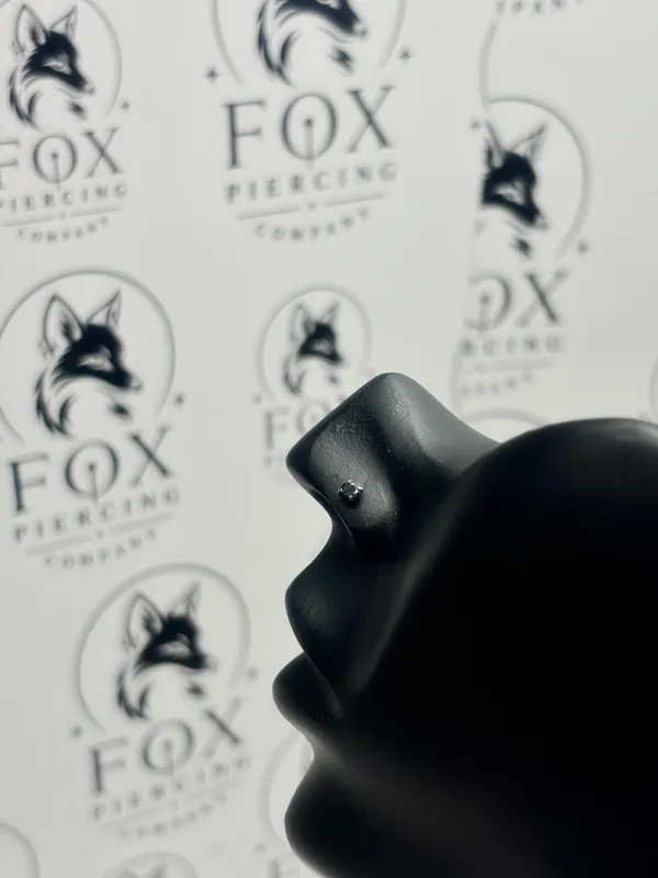 Silver_Black_Gem_Studded_Nose_Stud_For_Women