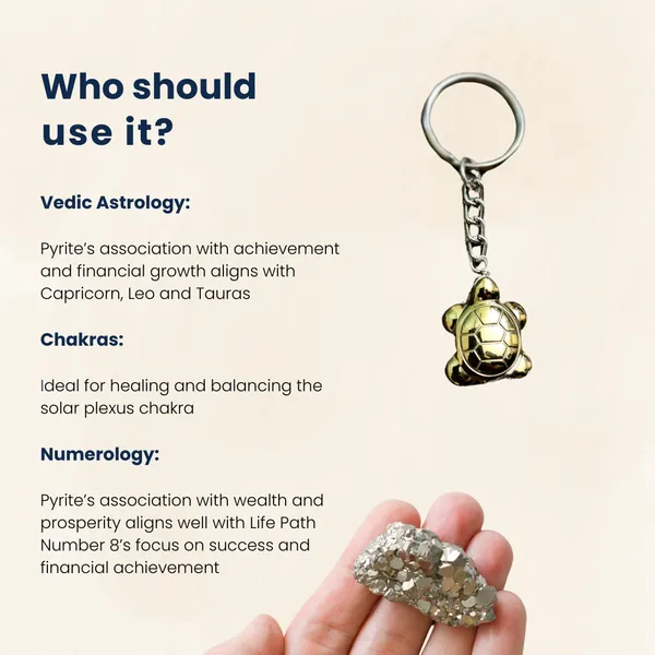 Pyrite_Tortoise_Keychain_Certified