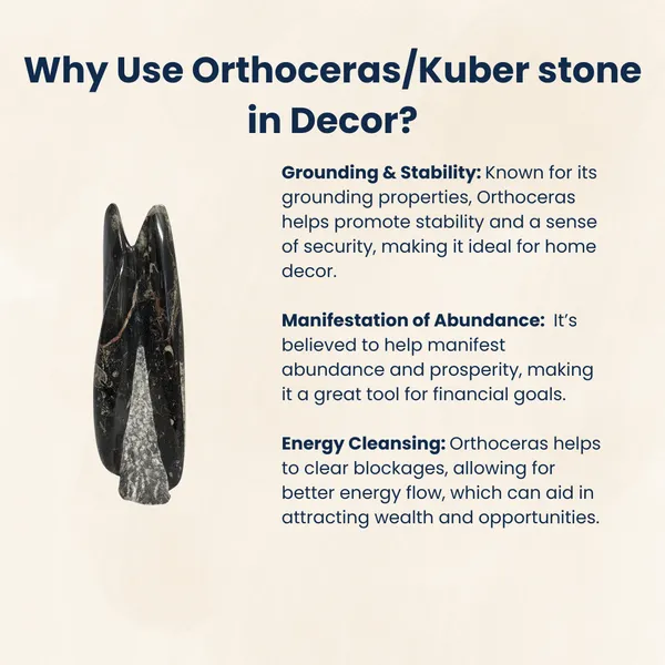 Orthoceras_Tower_Kuber_Stone