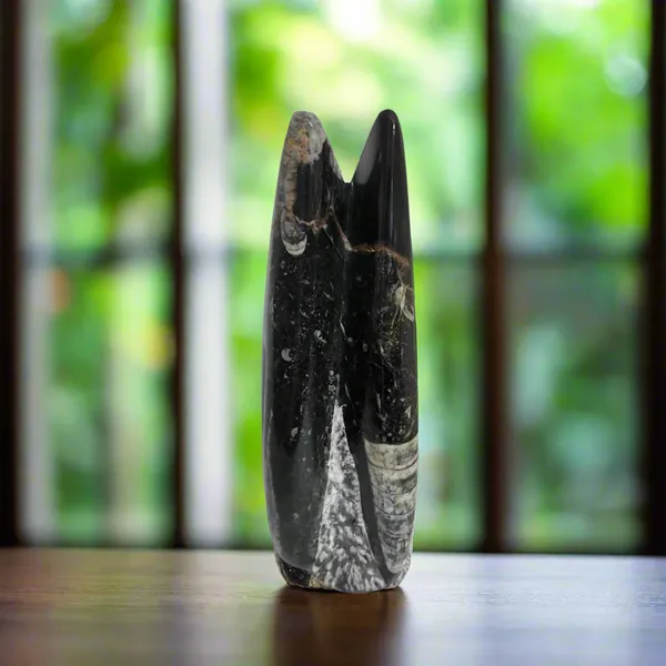 Orthoceras_Tower_Kuber_Stone