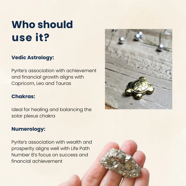 Certified_Pyrite_Tortoise_Natural_Wealth_Prosperity_Stone_For_Abundance_Protection_Financial_Growth