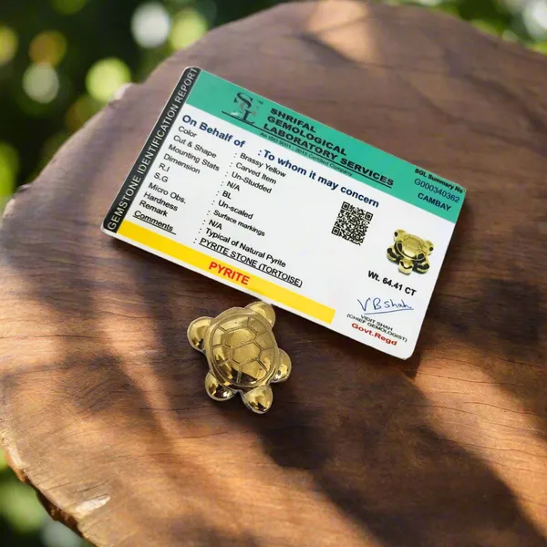 Certified_Pyrite_Tortoise_Natural_Wealth_Prosperity_Stone_For_Abundance_Protection_Financial_Growth