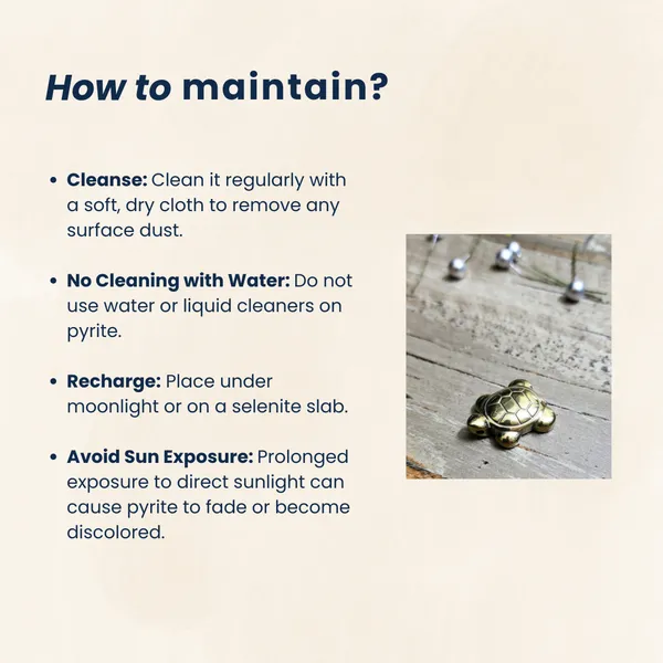Certified_Pyrite_Tortoise_Natural_Wealth_Prosperity_Stone_For_Abundance_Protection_Financial_Growth