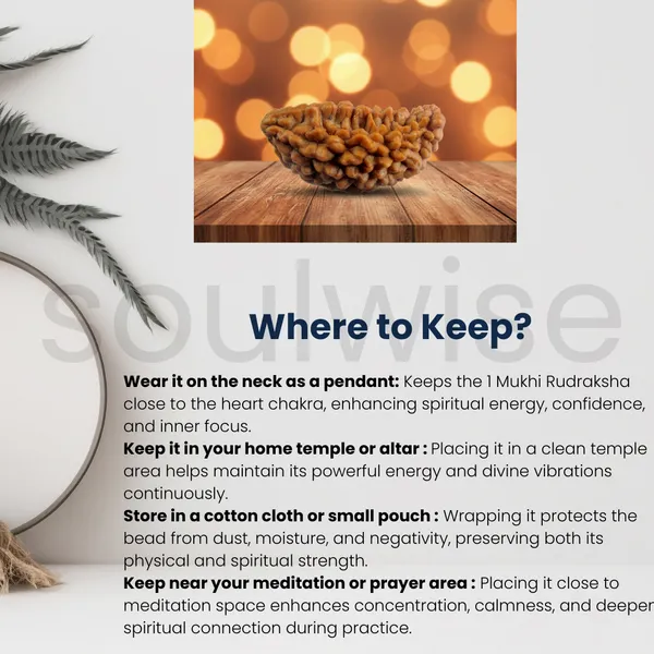 Natural_1_Mukhi_Rudraksha_Kaju_Shape_Ek_Mukhi_Rudraksha_For_Peace_Focus_Spiritual_Growth