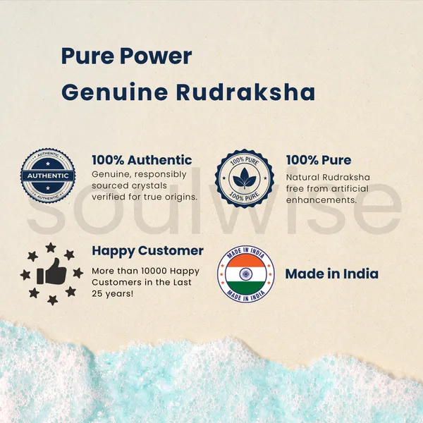 Natural_1_Mukhi_Rudraksha_Kaju_Shape_Ek_Mukhi_Rudraksha_For_Peace_Focus_Spiritual_Growth