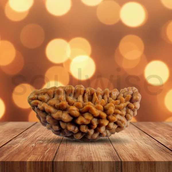 Natural_1_Mukhi_Rudraksha_Kaju_Shape_Ek_Mukhi_Rudraksha_For_Peace_Focus_Spiritual_Growth