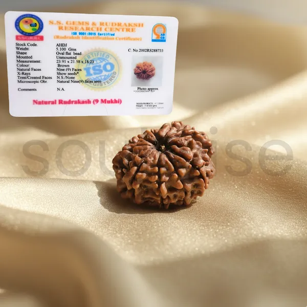 Natural_9_Mukhi_Rudraksha_Certified_Navan_Mukhi_Bead_Spiritual_Protection_Courage_Energy_Healing_For_Men_Women