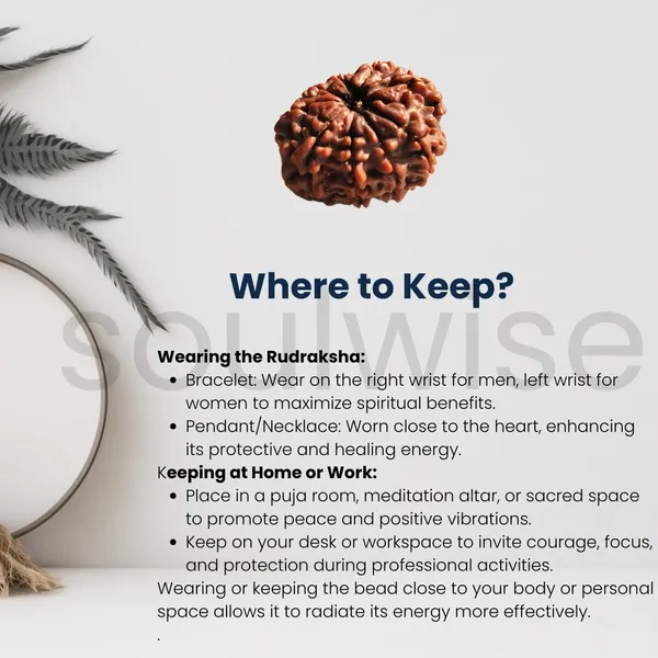 Natural_9_Mukhi_Rudraksha_Certified_Navan_Mukhi_Bead_Spiritual_Protection_Courage_Energy_Healing_For_Men_Women