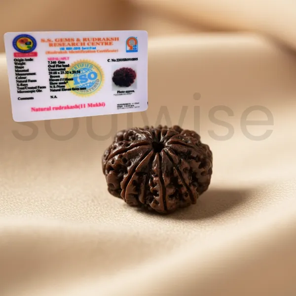 Certified_11_Mukhi_Rudraksha_Bead_Nepal_Origin_Lab_Tested_Energized_Eleven_Face_Rudraksha