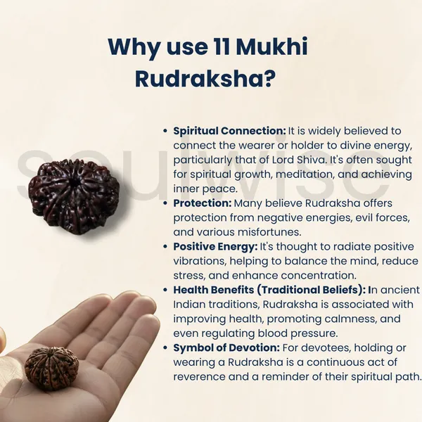 Certified_11_Mukhi_Rudraksha_Bead_Nepal_Origin_Lab_Tested_Energized_Eleven_Face_Rudraksha