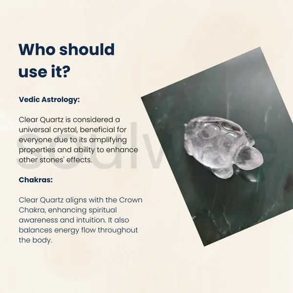 Certified_Clear_Quartz_Tortoise_2