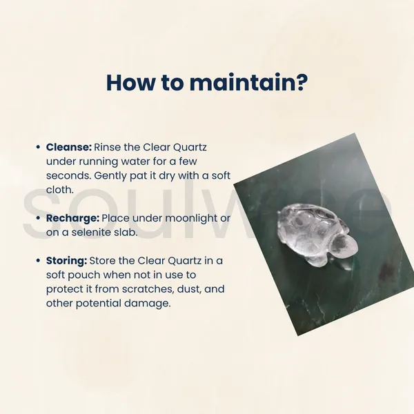 Certified_Clear_Quartz_Tortoise_2