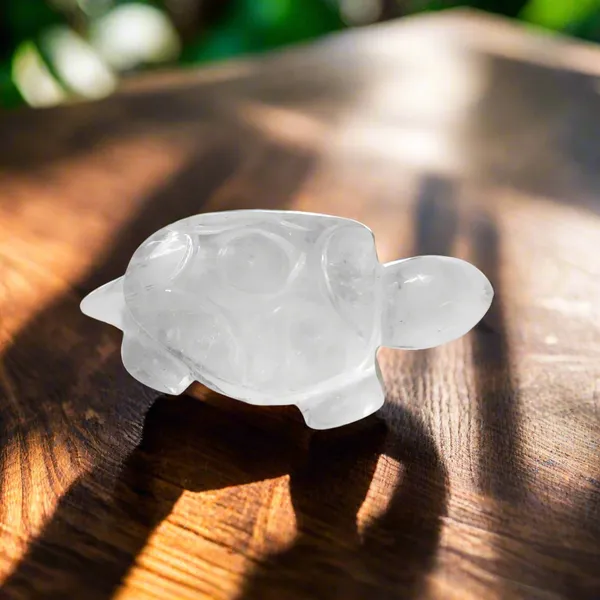 Certified_Clear_Quartz_Tortoise_2