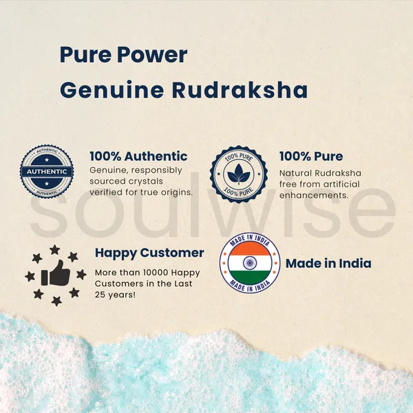 6_Mukhi_Nepali_Rudraksha_Bead_Certified_Authentic_Natural_Chhe_Mukhi_Rudraksha_For_Confidence_Strength_Emotional_Balance