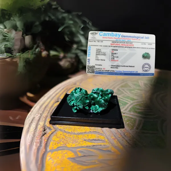 Rare_Velvet_Malachite_Crystal_Certified_Silky_Fibrous_Specimen_Decor