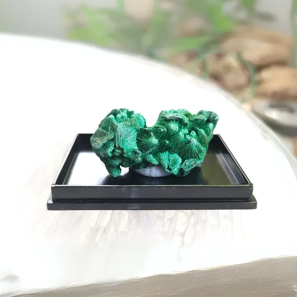 Rare_Velvet_Malachite_Crystal_Certified_Silky_Fibrous_Specimen_Decor