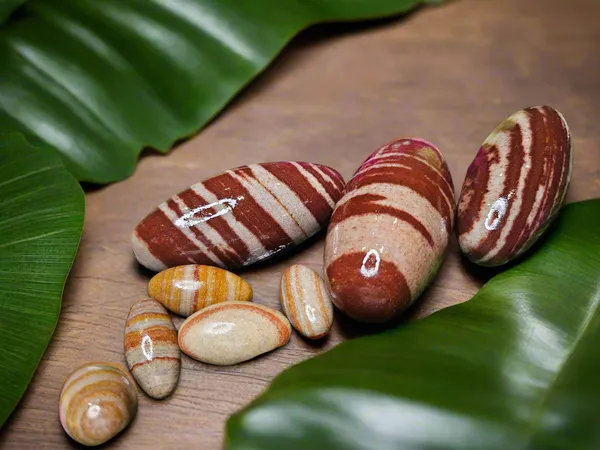 Enchanting_Krystals_Original_Narmadeshwar_Shivlingam_Natural_Lingam_Stone_Found_From_Narmada_River_Sacred_Idol_For_Puja_Meditation_Spiritual_Energy