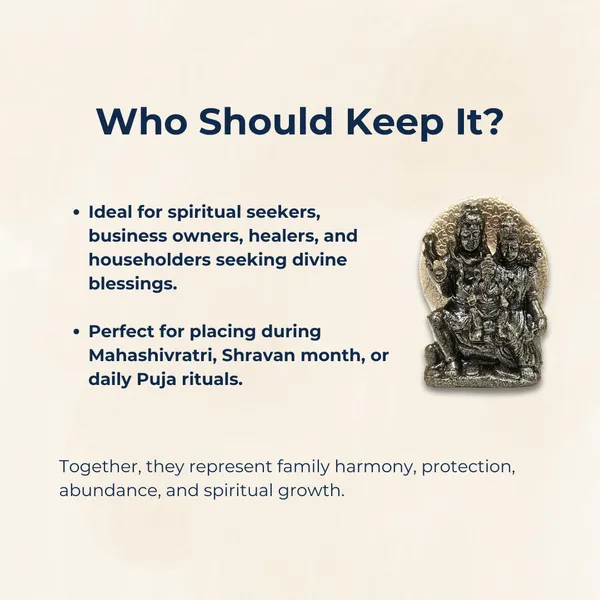 Soulwise_Divine_Family_Statue_Of_Lord_Shiva_Parvati_Ganesha_Pyrite_Shiva_Parivar_Idol