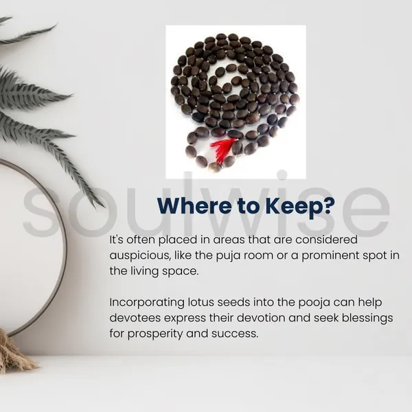 Soulwise_Natural_Kamal_Gatta_Mala_108_Beads_Lotus_Seed_Japa_Mala_Ideal_For_Lakshmi_Mantras_Diwali_Puja_Daily_Meditation