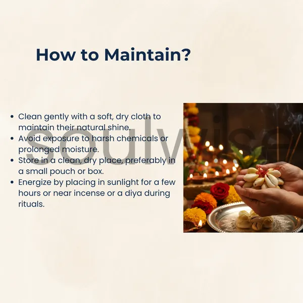 Soulwise_Diwali_Yellow_Kaudi_Set_Of_11_For_Diwali_Pooja_Brings_Financial_Stability_Wealth_And_Abundance_Removal_Of_Obstacles