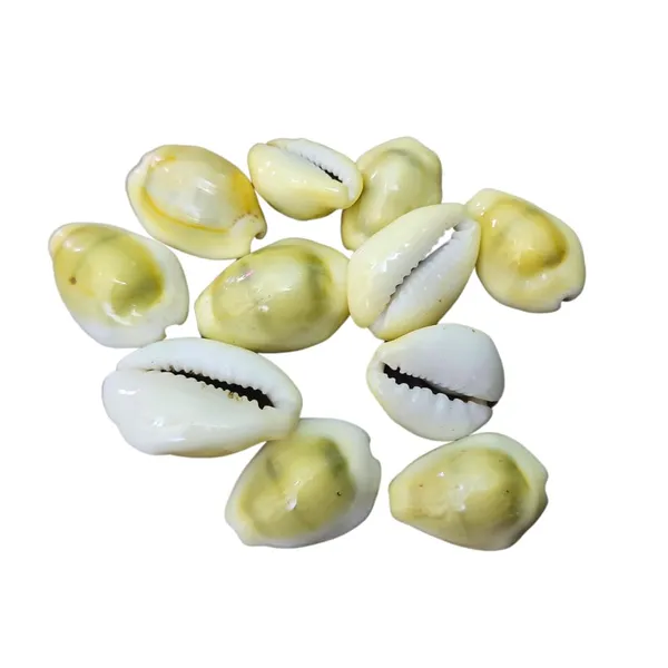 Soulwise_Diwali_Yellow_Kaudi_Set_Of_11_For_Diwali_Pooja_Brings_Financial_Stability_Wealth_And_Abundance_Removal_Of_Obstacles