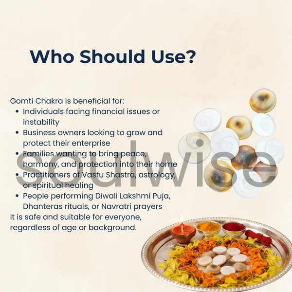 Gomti_Chakra_Set_Of_11_For_Diwali_Pooja_Brings_Financial_Stability_Wealth_And_Abundance_Removal_Of_Obstacles