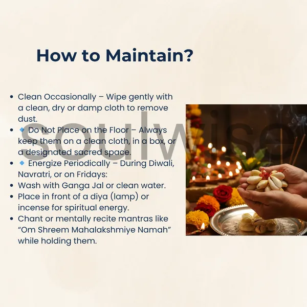 Gomti_Chakra_Set_Of_11_For_Diwali_Pooja_Brings_Financial_Stability_Wealth_And_Abundance_Removal_Of_Obstacles