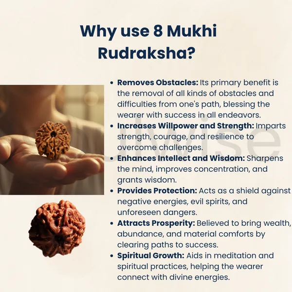 8_Mukhi_Nepali_Rudraksha_Bead_Certified_Natural_Ashta_Mukhi_Rudraksha_For_Obstacle_Removal_Success_Positive_Energy
