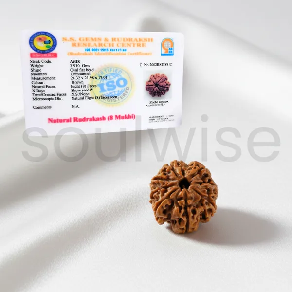 8_Mukhi_Nepali_Rudraksha_Bead_Certified_Natural_Ashta_Mukhi_Rudraksha_For_Obstacle_Removal_Success_Positive_Energy