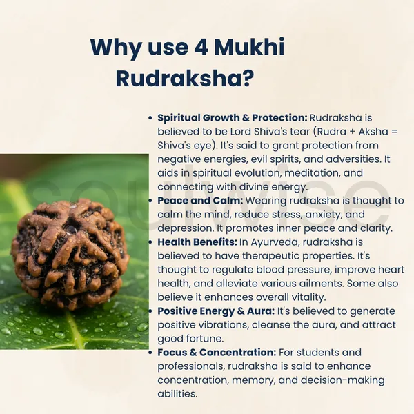 4_Mukhi_Nepali_Rudraksha_Bead_Authentic_Spiritual_Pendant_Mala_Bead_Meditation_Bead