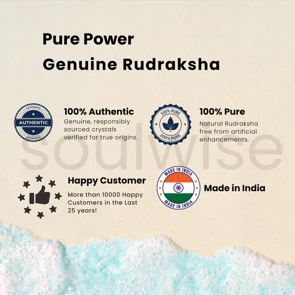 Natural_3_Mukhi_Rudraksha_Genuine_Nepali_Three_Mukhi_Rudraksha_Bead_For_Confidence_Health_Positivity_Energized_Ready_To_Wear