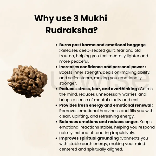 Natural_3_Mukhi_Rudraksha_Genuine_Nepali_Three_Mukhi_Rudraksha_Bead_For_Confidence_Health_Positivity_Energized_Ready_To_Wear