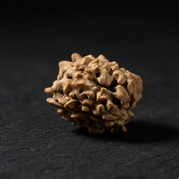Natural_3_Mukhi_Rudraksha_Genuine_Nepali_Three_Mukhi_Rudraksha_Bead_For_Confidence_Health_Positivity_Energized_Ready_To_Wear