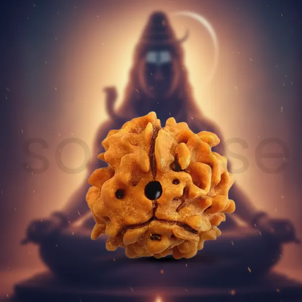 Natural_3_Mukhi_Rudraksha_Genuine_Nepali_Three_Mukhi_Rudraksha_Bead_For_Confidence_Health_Positivity_Energized_Ready_To_Wear