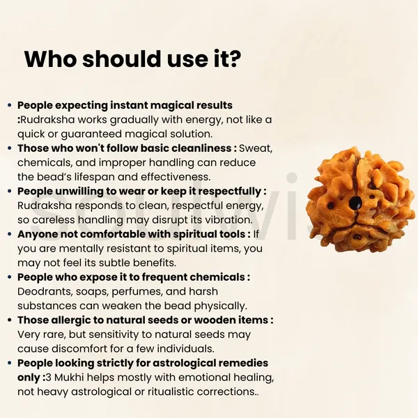 Natural_3_Mukhi_Rudraksha_Genuine_Nepali_Three_Mukhi_Rudraksha_Bead_For_Confidence_Health_Positivity_Energized_Ready_To_Wear