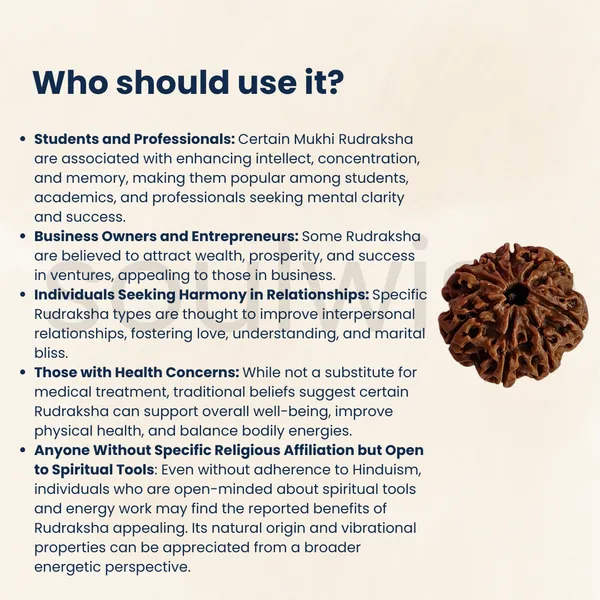Natural_10_Mukhi_Face_Rudraksha_Nepal_Origin